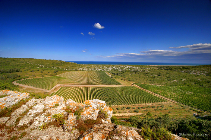 Aude Vignoble ET