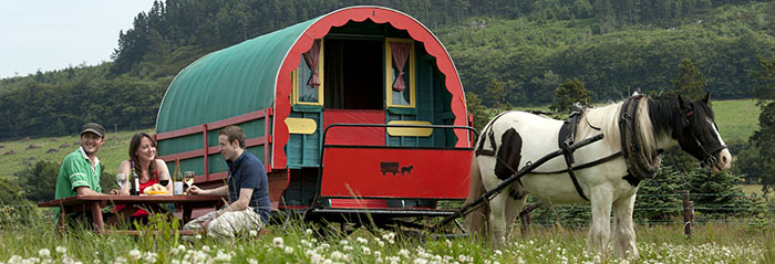 Clissmann-Horse-Caravans-slider-650-1.jpg