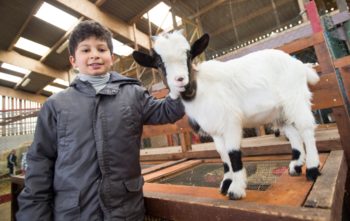 Meuse Ferme