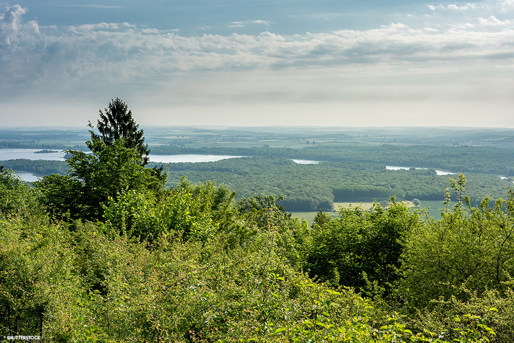 Meuse Forêt Lac