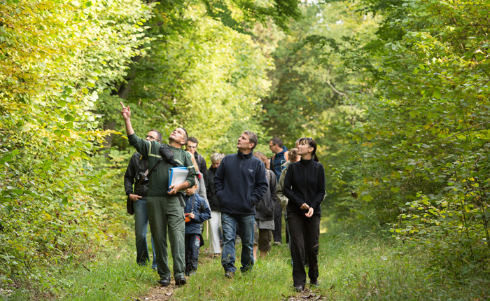 Meuse Forets Histoire