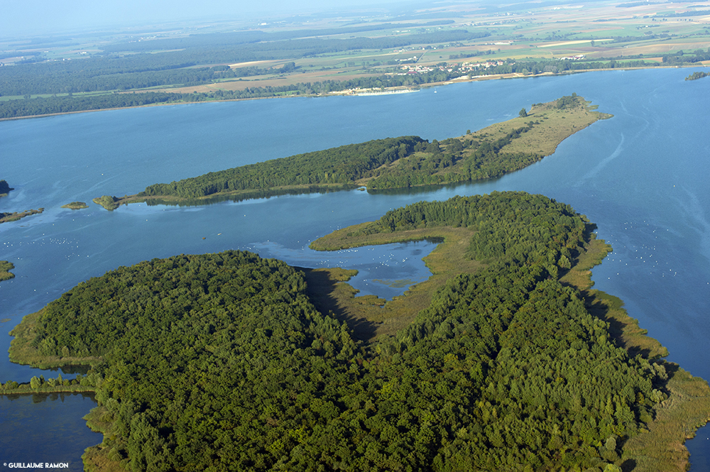 Meuse Lac de Madine