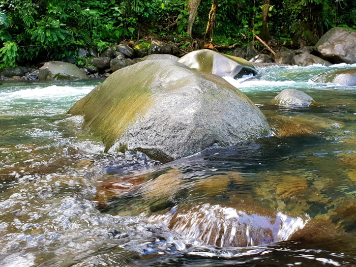 Nature guadeloupe 1