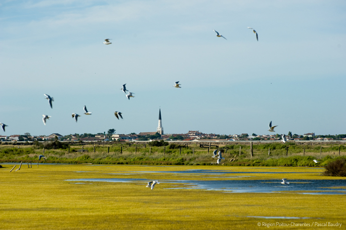 Poitou Nature ET