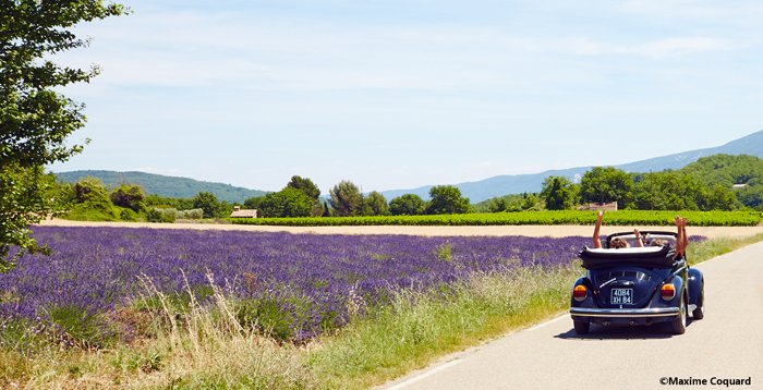 Provence Printemps Deuche