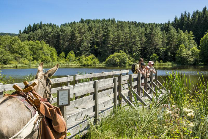 Rando Auvergne Ane