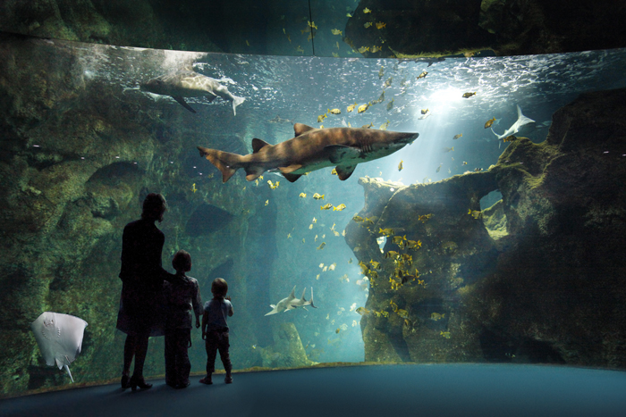 La Rochelle Aquarium